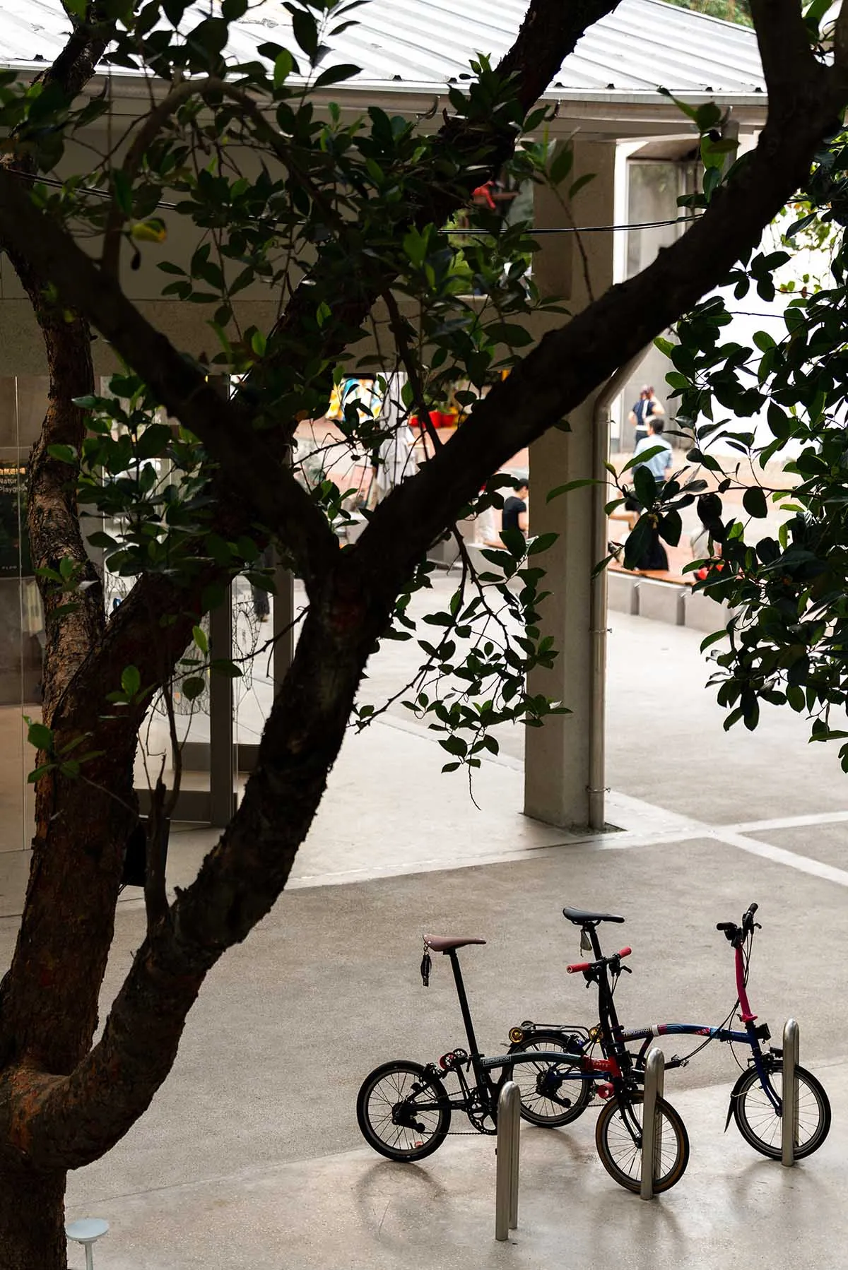 公共公園場景，有數輛自行車停放在樹下，營造出輕鬆悠閒的氛圍