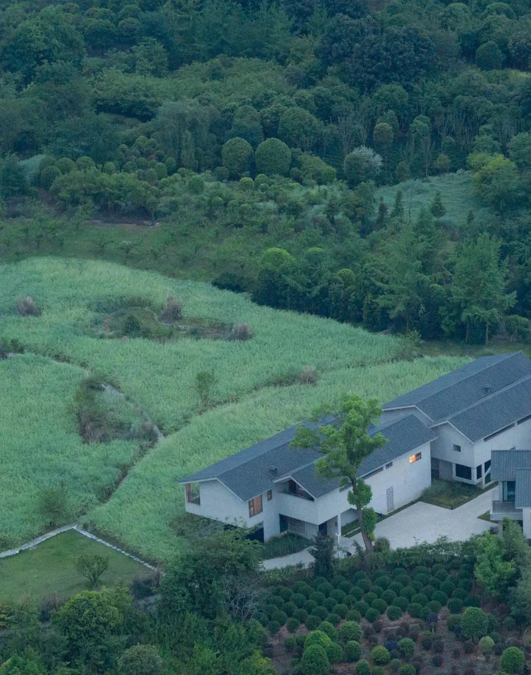 一座寧靜祥和的白色外觀住宅，覆有茂密綠色屋頂，周圍環繞林地與綠地