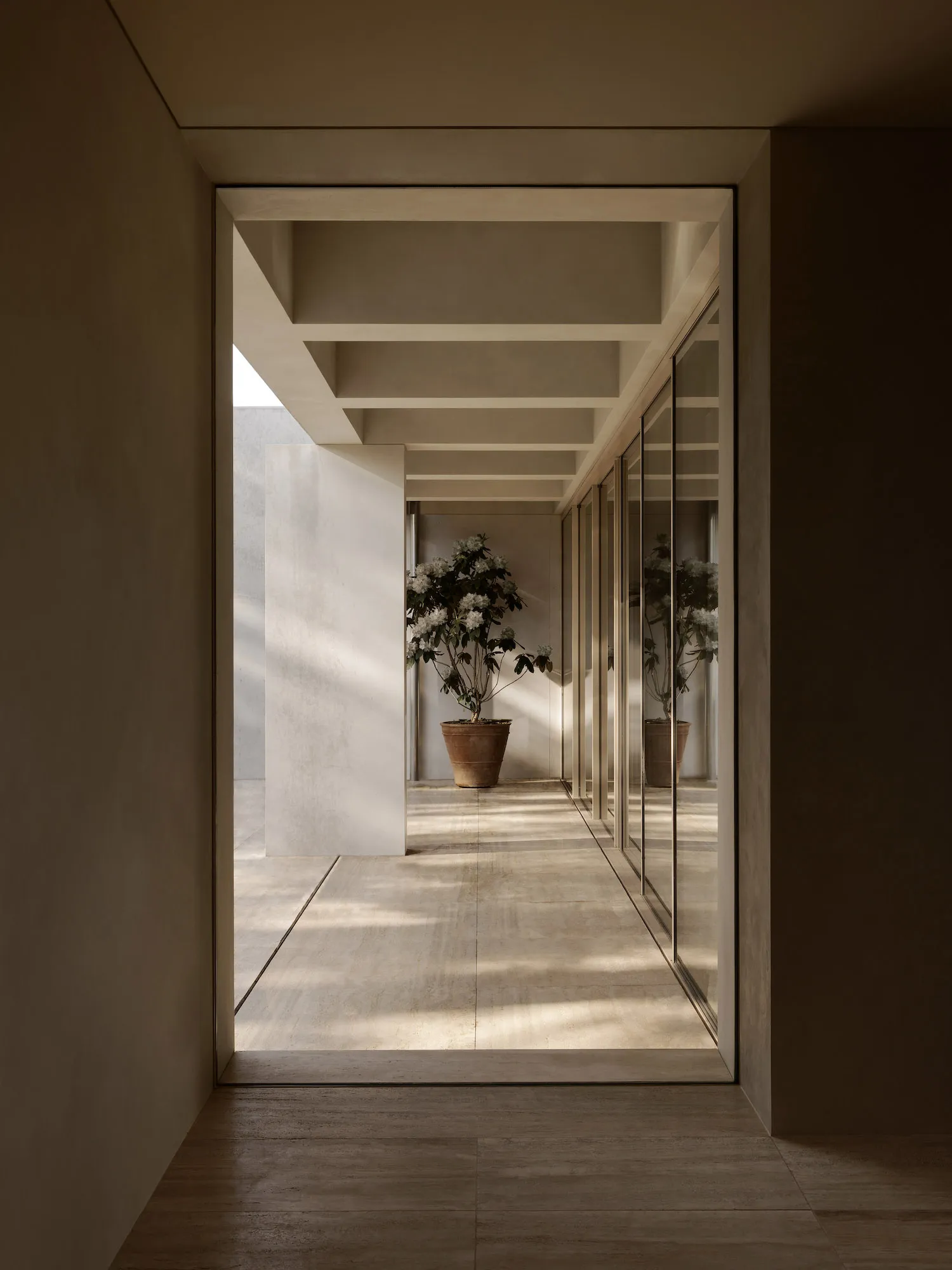 A bright and airy living room with white walls, natural light, and two potted plants, one near the center and one towards the right side, with a large window showcasing an outside view