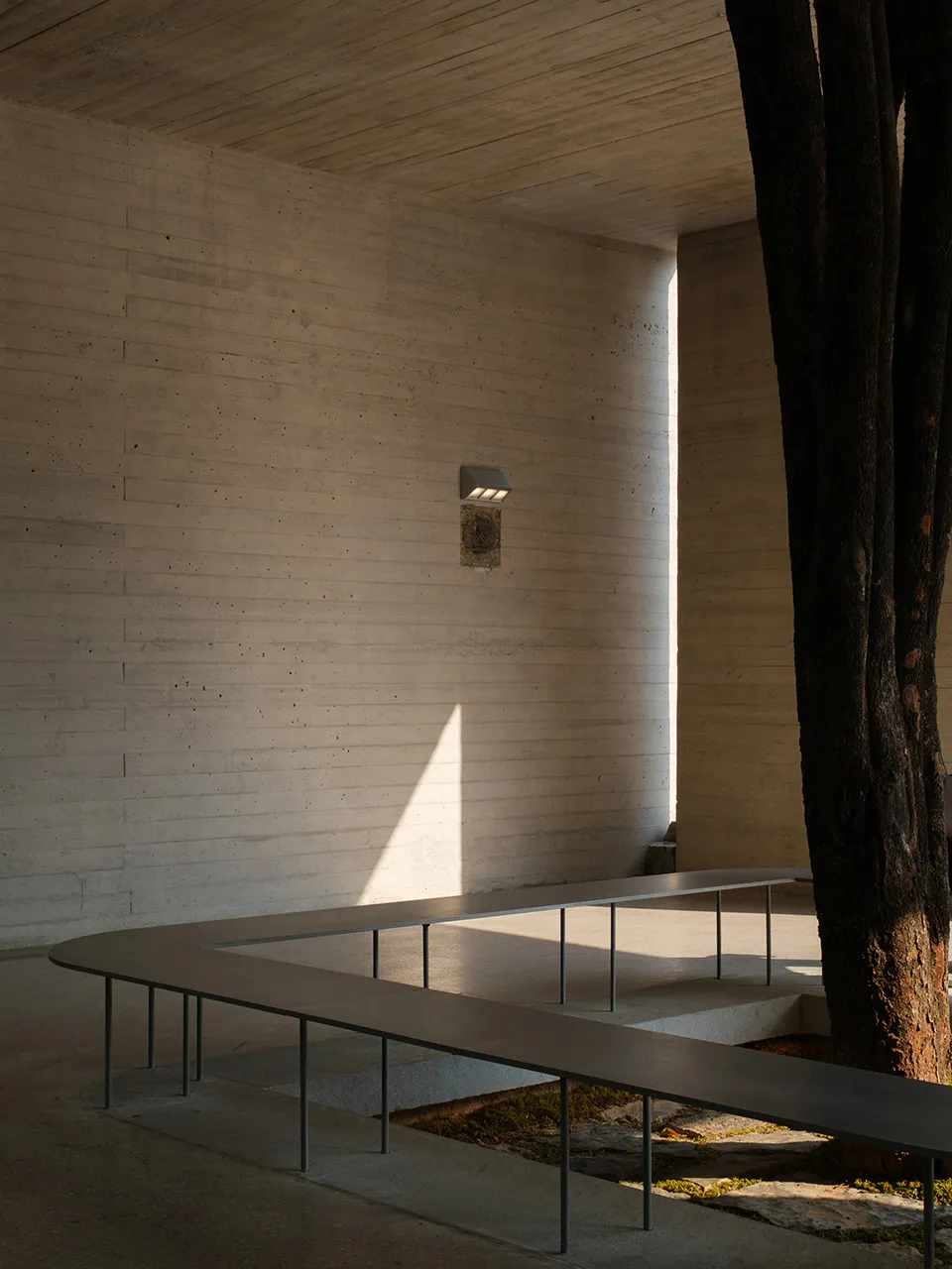 A modern courtyard with a tree in the center, surrounded by concrete and natural light
