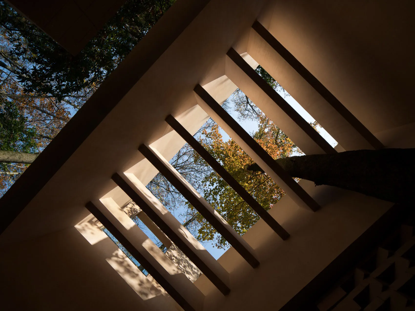 A bright and inviting residential space with a white exterior, a tree in the corner, and natural light from the window