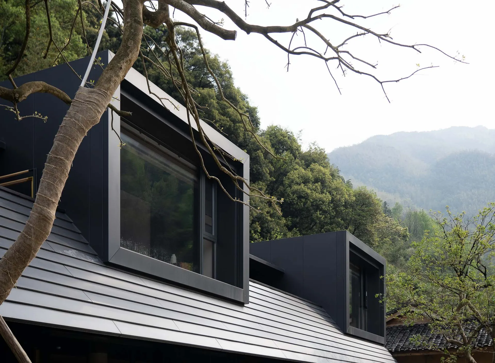 Modern black metal house with large windows nestled among green mountains and trees, viewed from below with foreground tree branches.