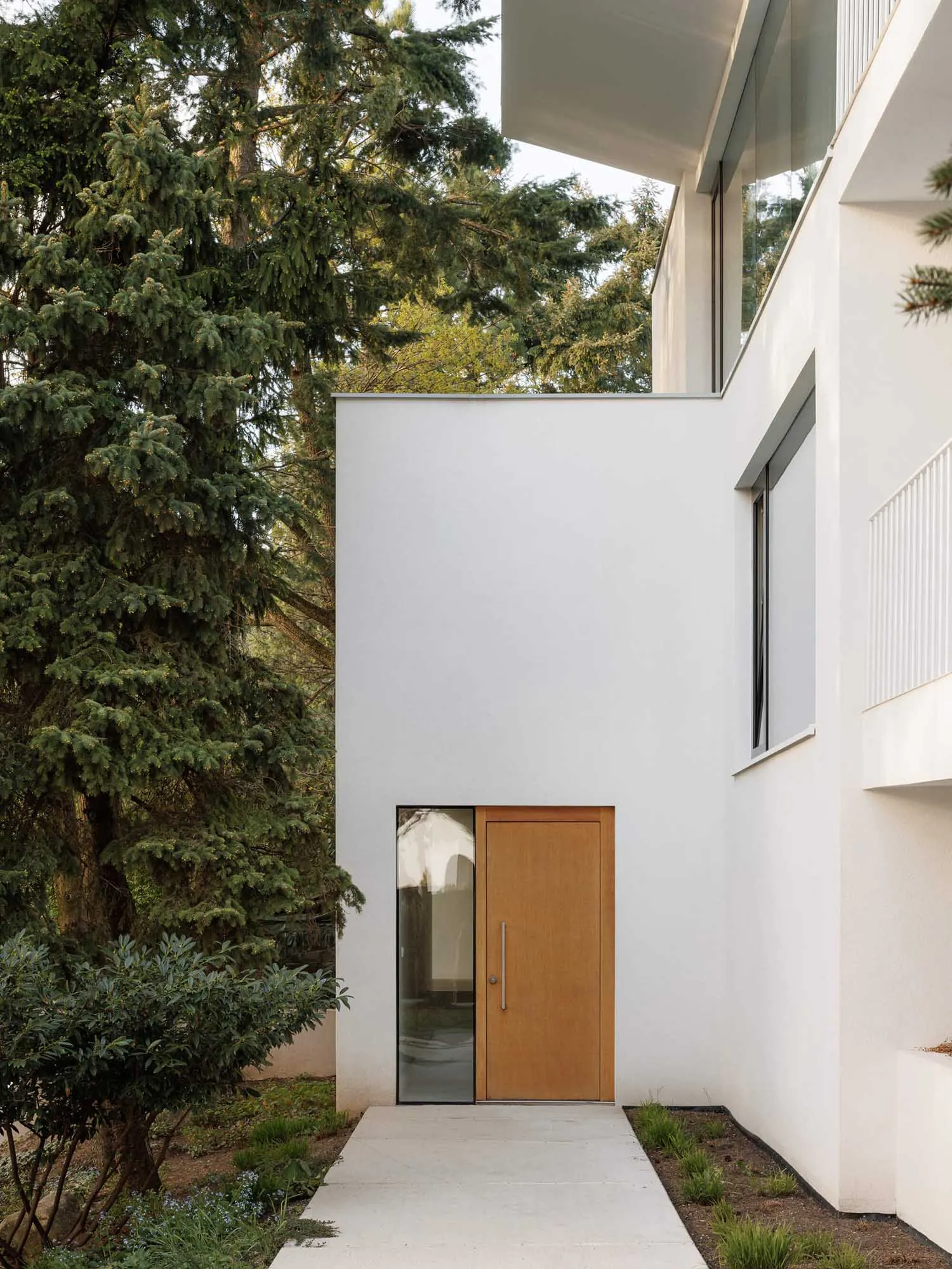 Modern minimalist white house exterior featuring a light oak wooden door, large glass panel, concrete pathway, and surrounded by lush green trees and shrubs.