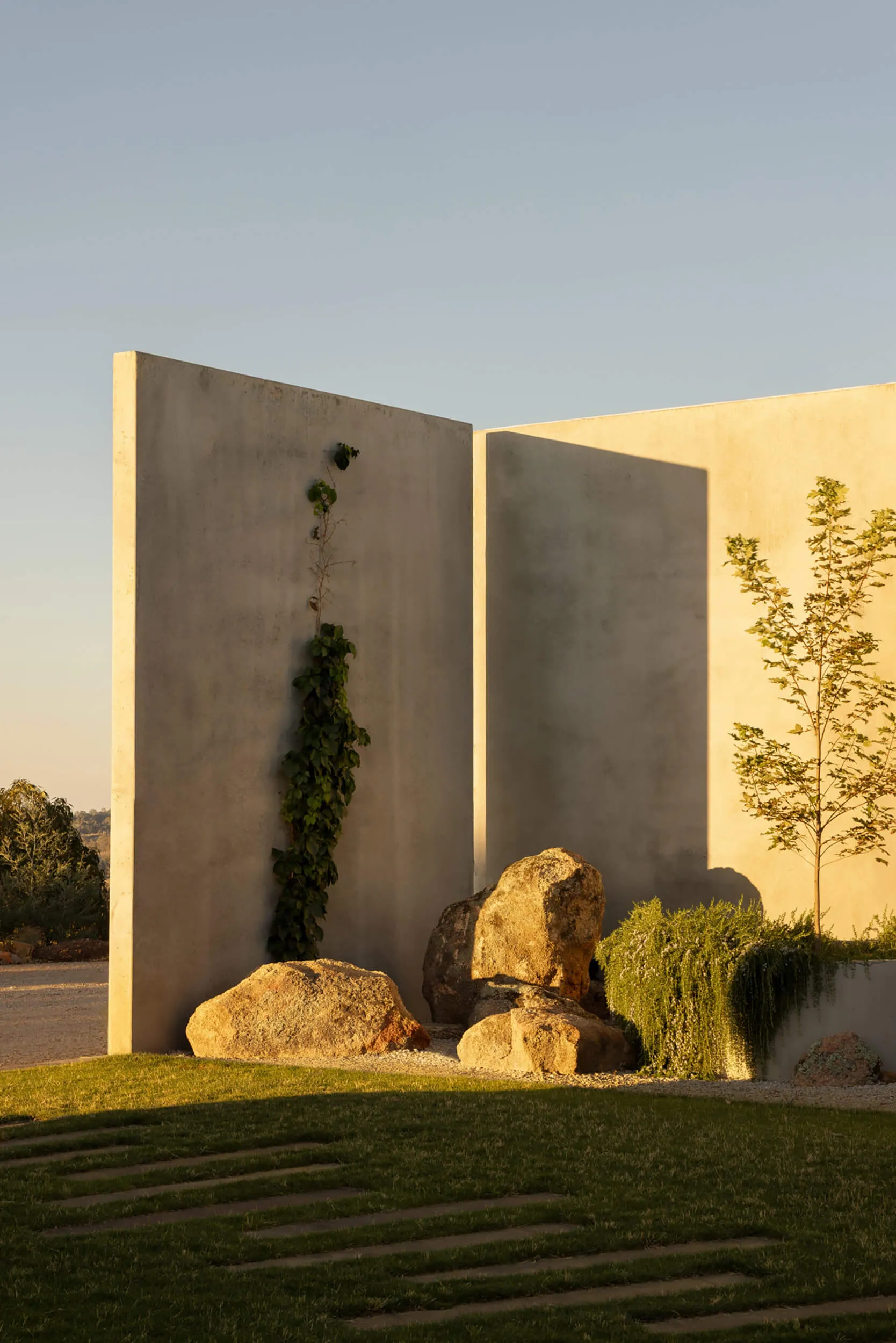 Modern minimalist garden featuring large concrete walls, massive natural boulders, climbing green vines, and stepping stones on a lawn during golden hour sunset.