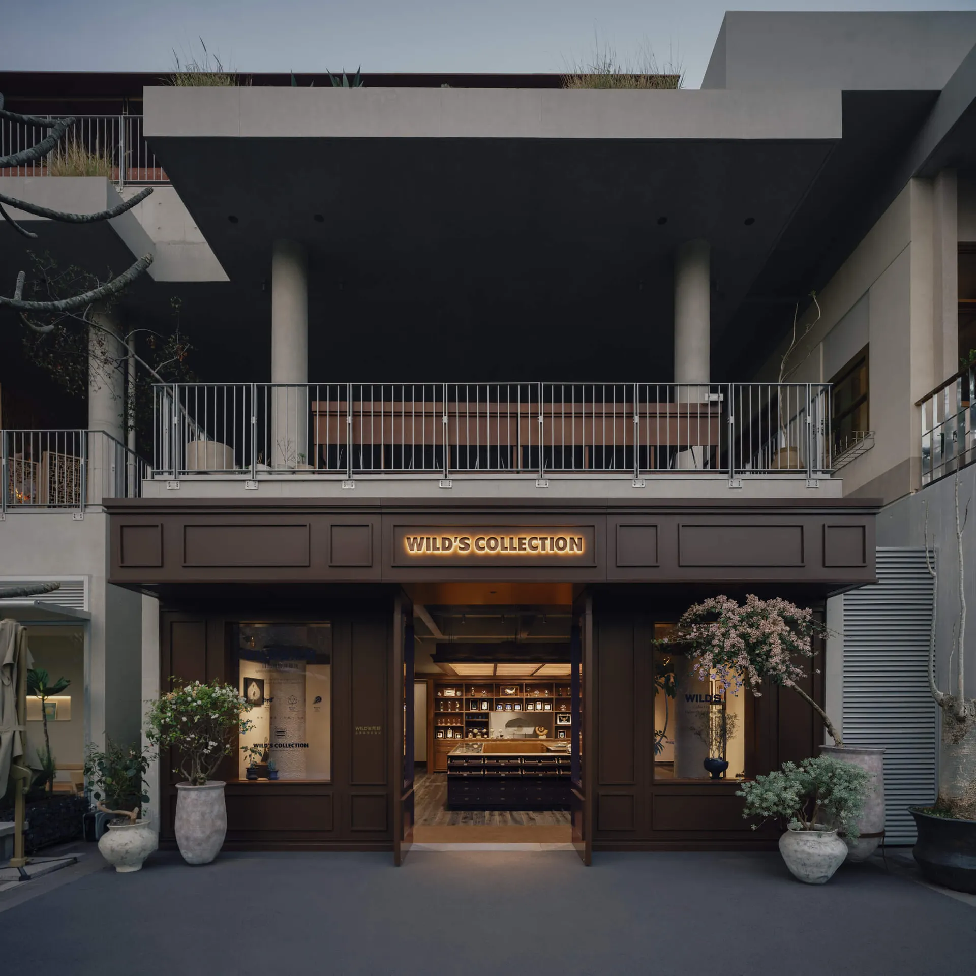 Modern minimalist boutique storefront with dark wood paneling, illuminated 'WILD'S COLLECTION' sign, and multiple potted flowering trees at the entrance of a contemporary concrete building.
