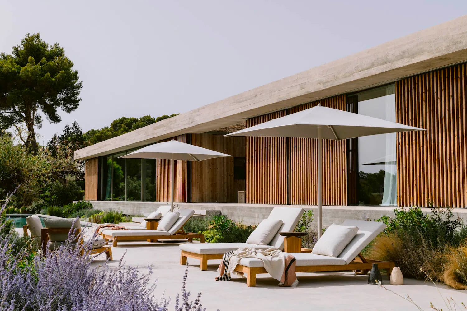 Modern concrete villa with vertical timber cladding, featuring multiple teak lounge chairs with white cushions and large white umbrellas on a spacious concrete terrace surrounded by lavender and Mediterranean landscaping.