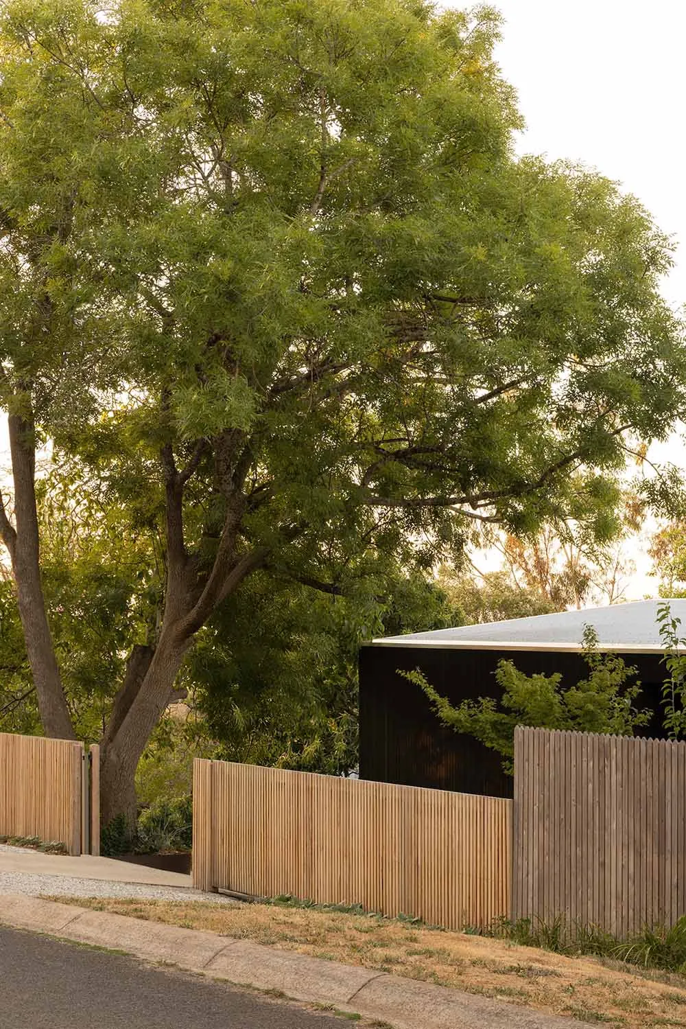 Street view of a modern house with dark timber cladding, light-colored vertical wooden fence, and a large leafy tree in the front yard.