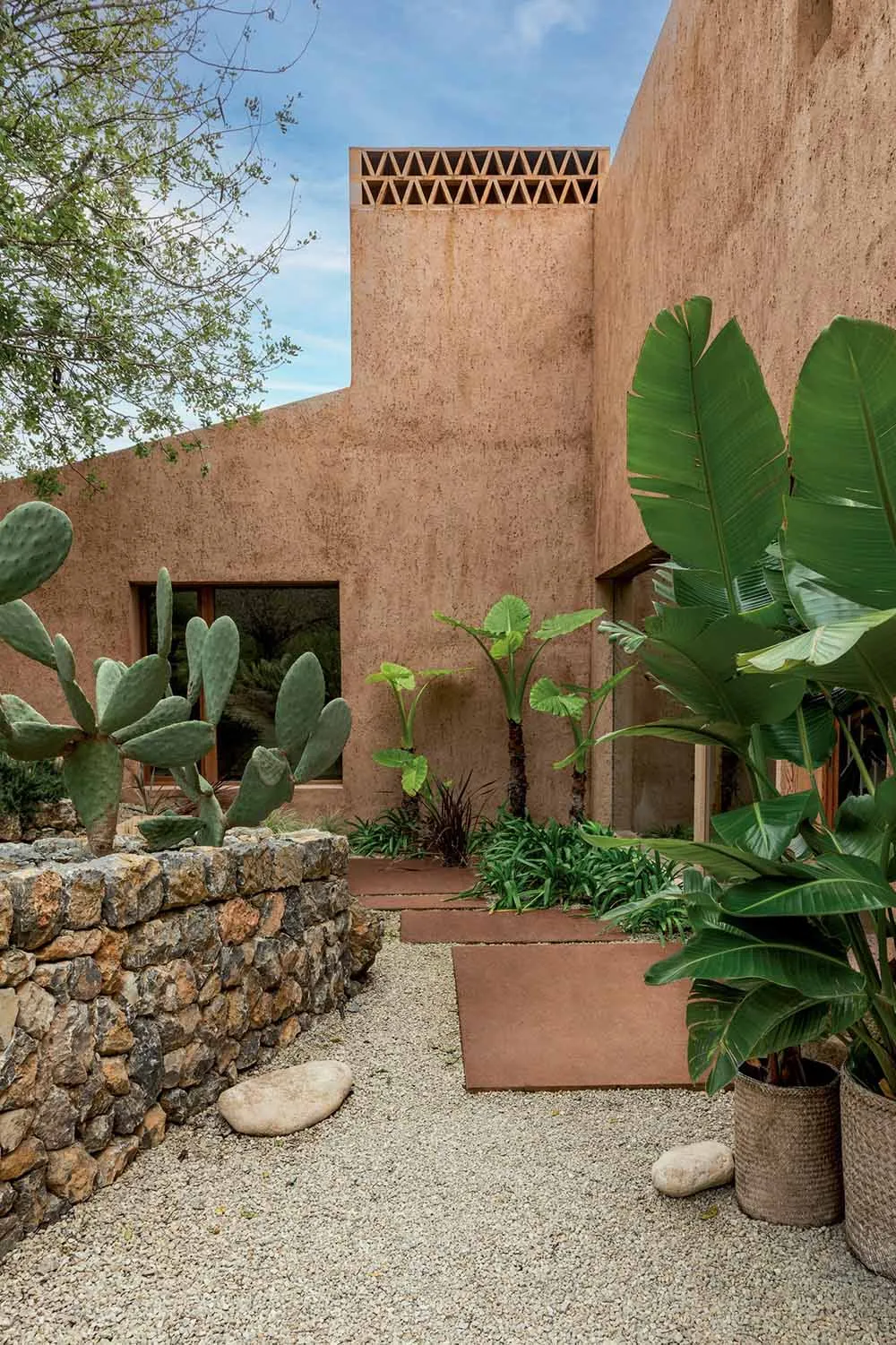Sunlit desert modern courtyard featuring rammed earth walls, stone retaining wall, prickly pear cactus, banana plants, and gravel ground cover.