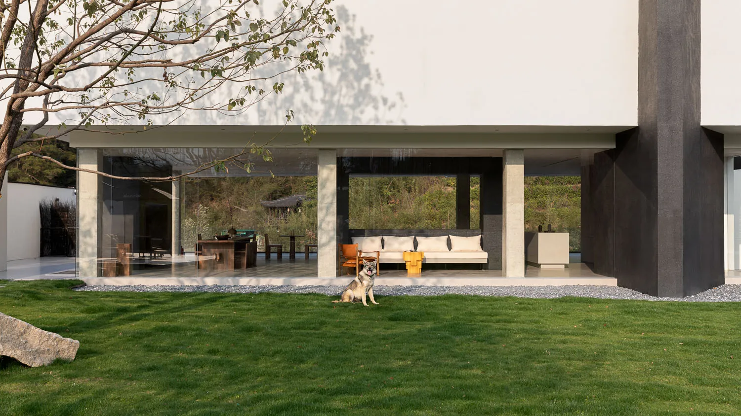 Modern concrete villa exterior featuring a large open patio with white outdoor sofa, wooden dining area, and a husky dog sitting on a green lawn in the foreground.