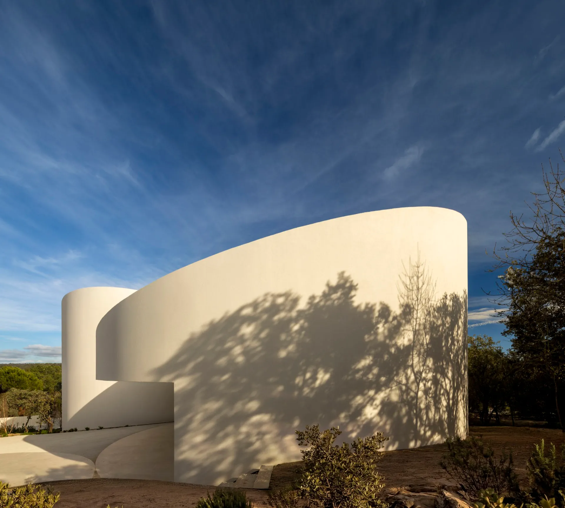 Modern curved white plaster building with dramatic tree shadows cast by Mediterranean sunlight against a deep blue sky.