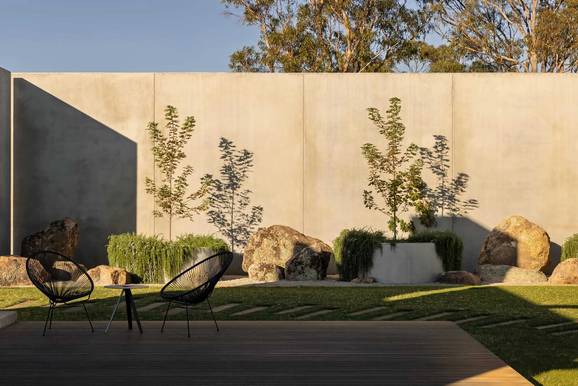 Modern minimalist garden with a large concrete wall, black Acapulco chairs on a wooden deck, large natural boulders, young trees in planters, and stepping stones on a lawn during golden hour.