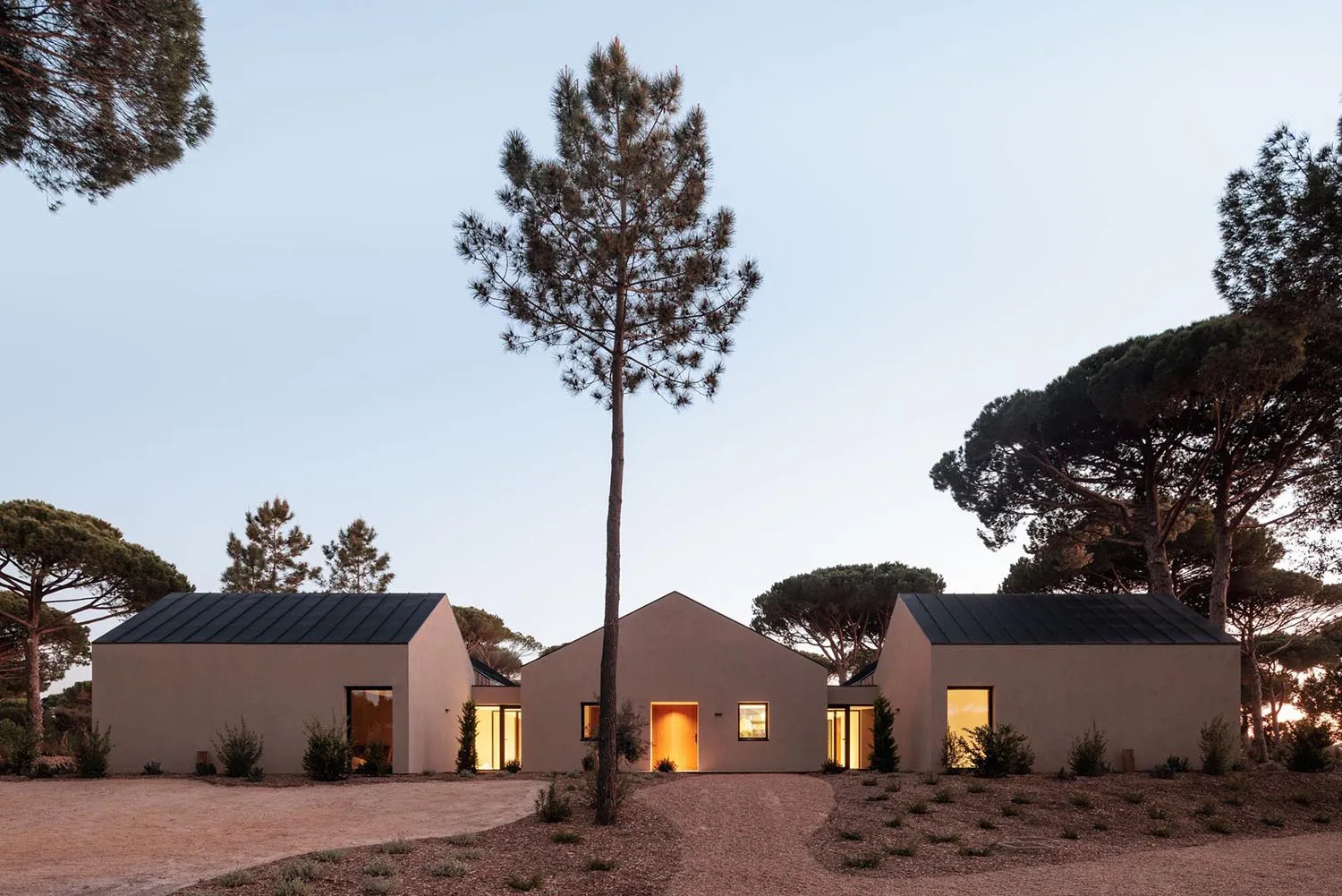 Modern minimalist stucco villa with dark gabled roofs surrounded by tall pine trees at dusk, with warm interior lighting visible through windows and doors.