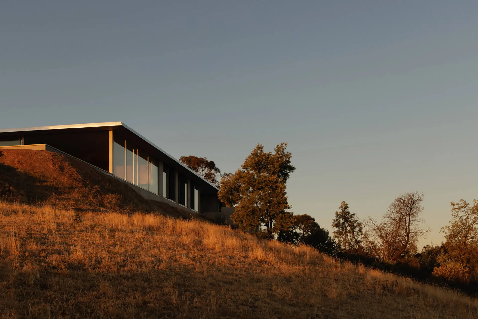 Modern single-story concrete and glass house built into a dry grass hillside during warm golden hour sunset, surrounded by oak trees under a clear blue sky.
