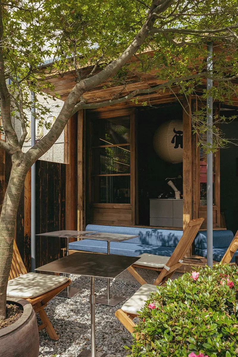 Cozy Japanese-style outdoor patio with wooden structure, blue sofa, wooden deck chairs, metal tables, and a large maple tree in a planter.