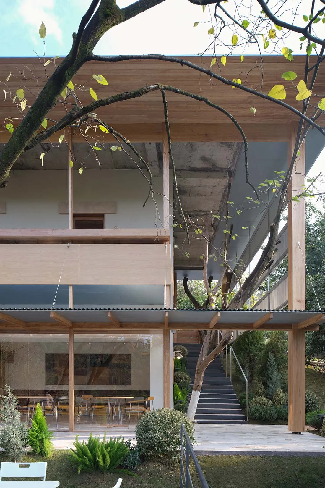 Modern two-story timber house with a large tree growing through its open structural frame, featuring concrete elements, large glass openings, and an exterior staircase surrounded by lush greenery.