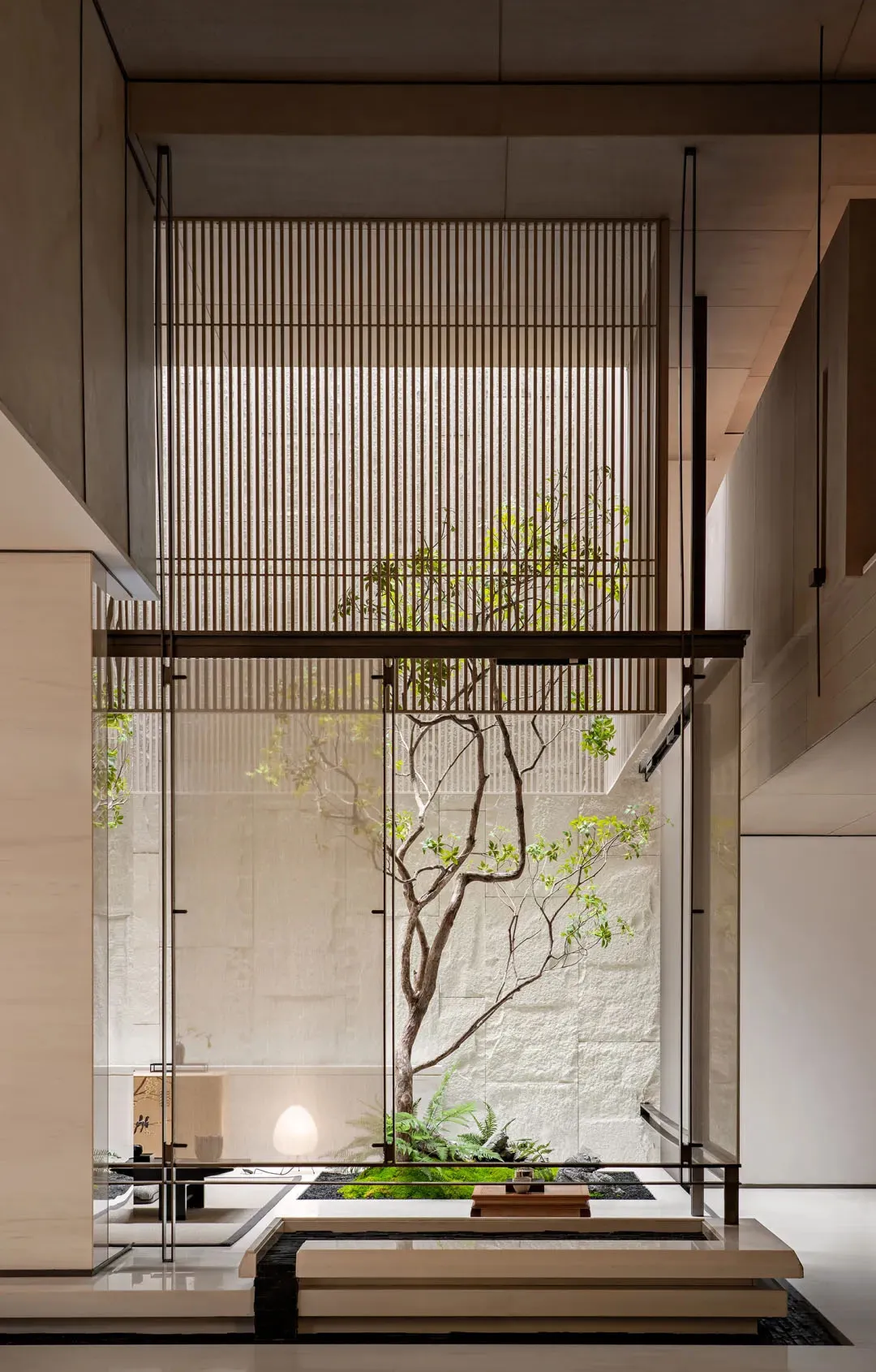 Modern minimalist indoor courtyard featuring a mature tree, white stone wall, wooden slat screens, and concrete architecture.