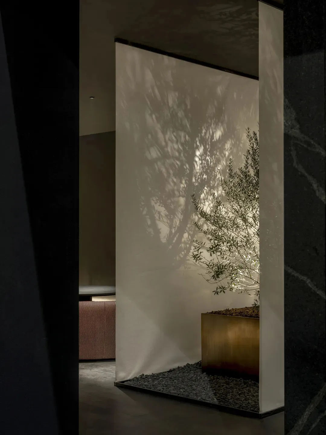 Modern minimalist entryway featuring a backlit olive tree in a brass planter against a white translucent screen, with dark marble walls and dramatic tree shadows.