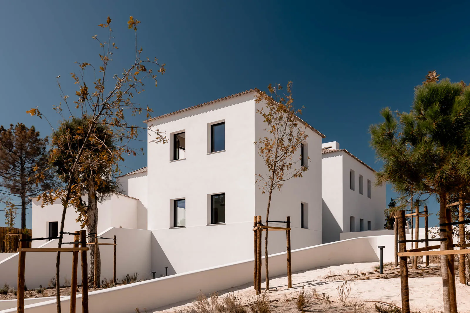 Modern white stucco Mediterranean-style villas with flat roofs and small windows, surrounded by young trees and white boundary walls on sandy ground under a clear deep blue sky.