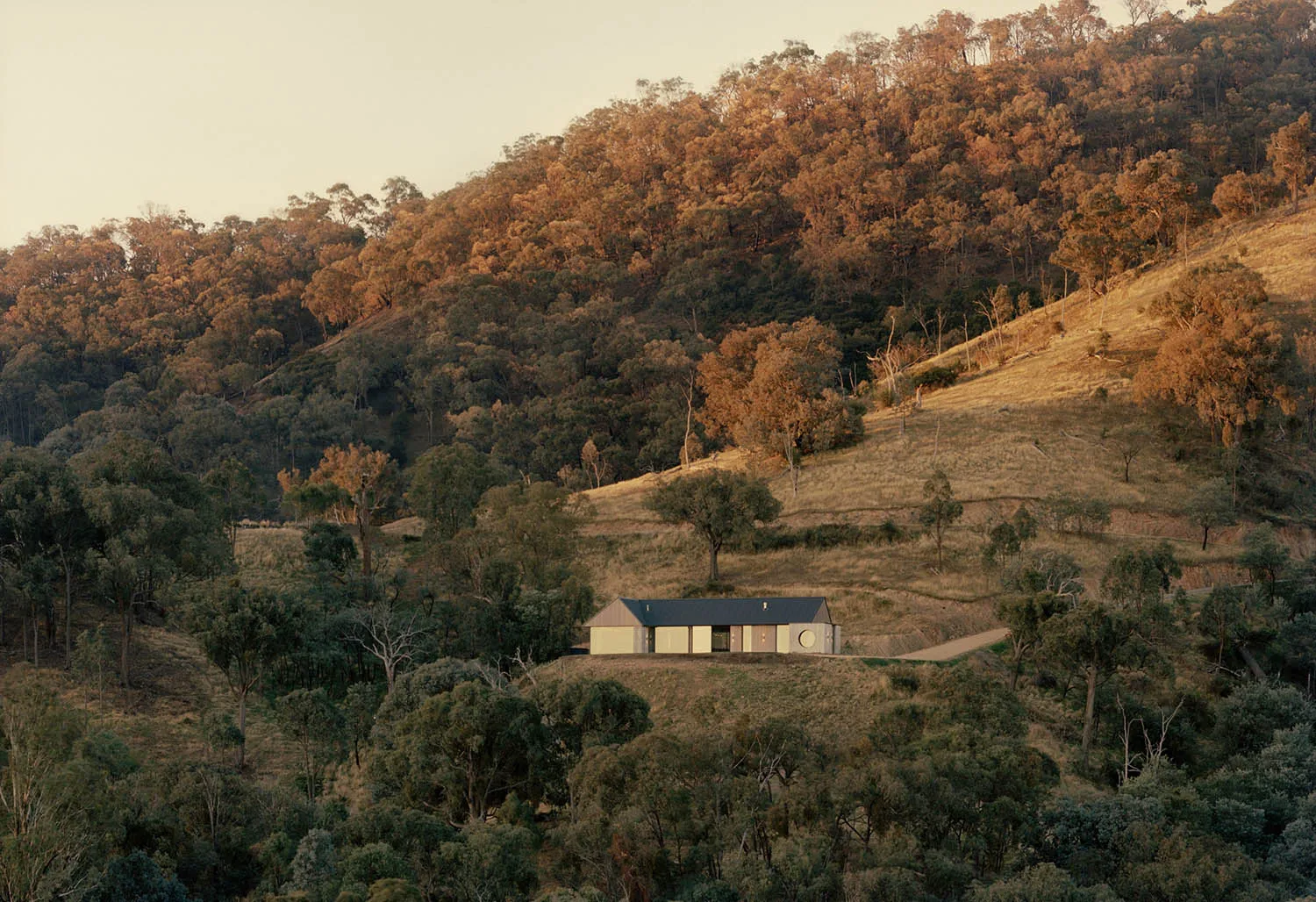Modern single-story house with dark roof and corten steel accents, situated on a grassy hillside surrounded by dense eucalyptus forest during golden hour.