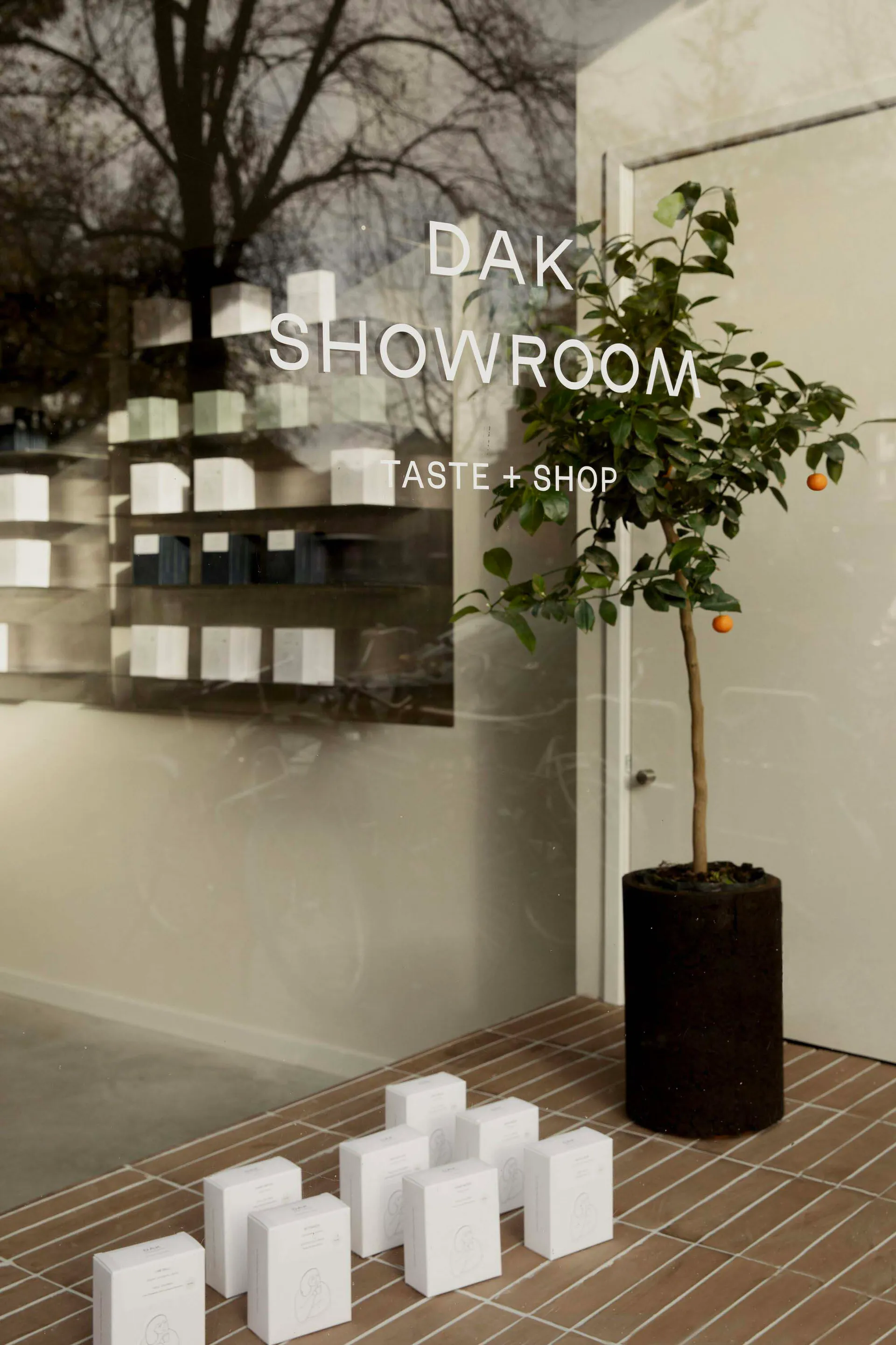 Modern minimalist showroom entrance featuring brown terracotta floor tiles, white product boxes arranged in the foreground, a tall potted citrus tree in a dark cylindrical planter, and a large glass wall reflecting trees outside.