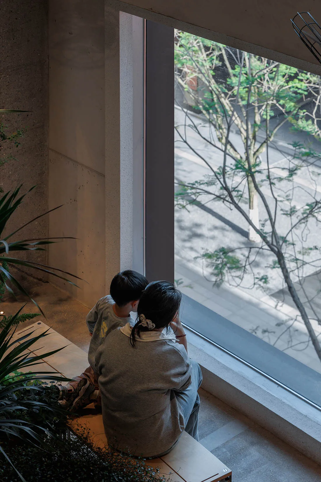 A woman and a young boy sitting together on a built-in concrete window seat, looking out at green trees lining a street, surrounded by indoor plants.