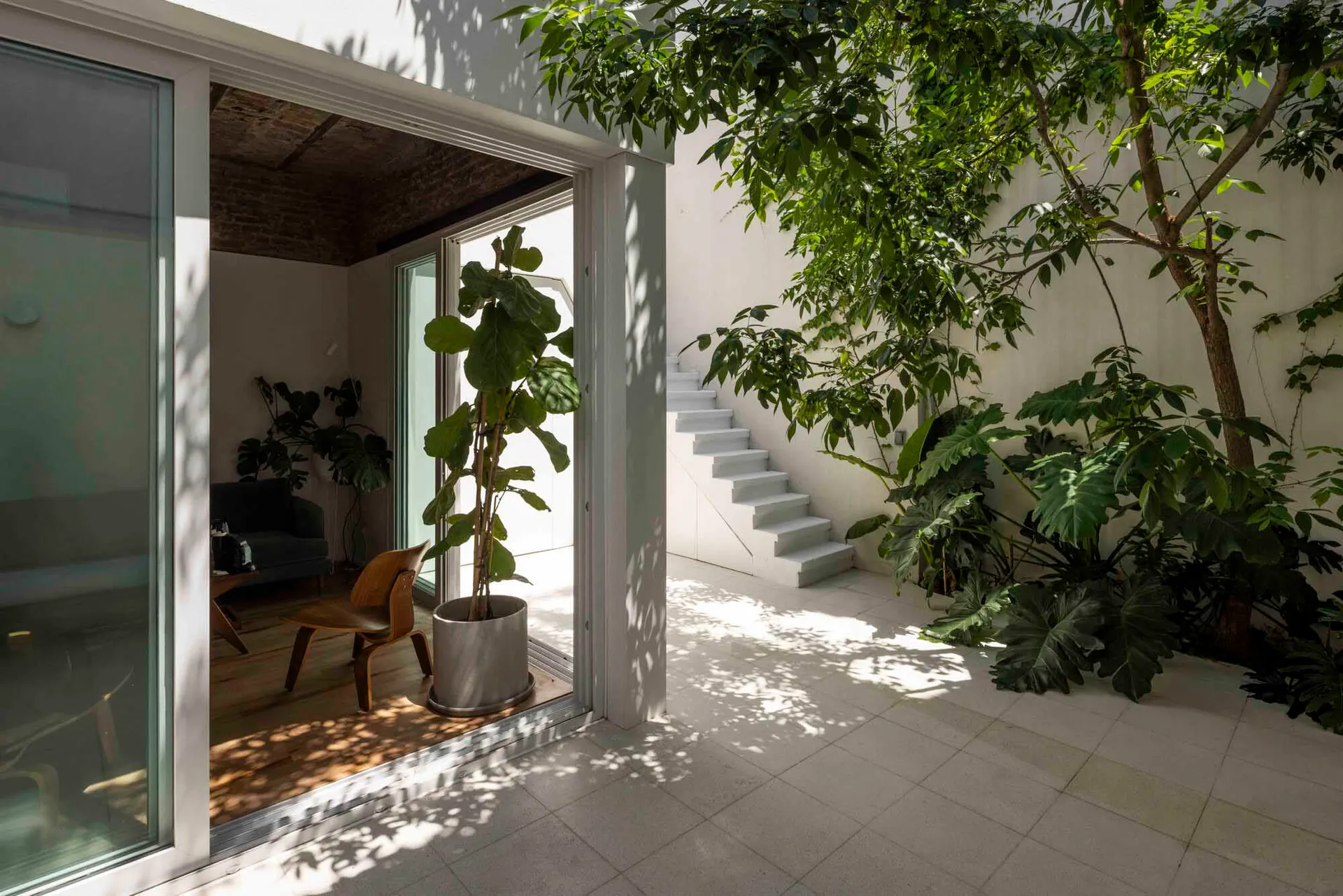 View from a modern living room through large glass doors into a bright outdoor courtyard featuring a large potted fiddle leaf fig, wooden chair, white staircase, and abundant greenery under strong natural sunlight.