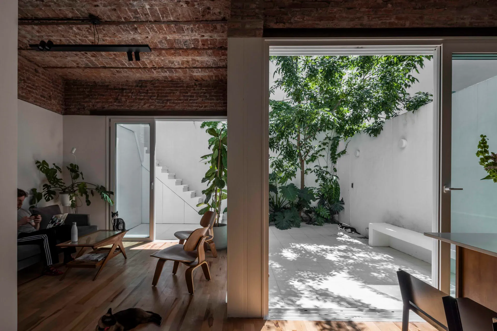 Modern loft interior with exposed brick ceiling, wooden floors, Eames-style chairs, and a large open courtyard filled with trees and plants, with a dog resting on the floor and a person sitting on a grey sofa.