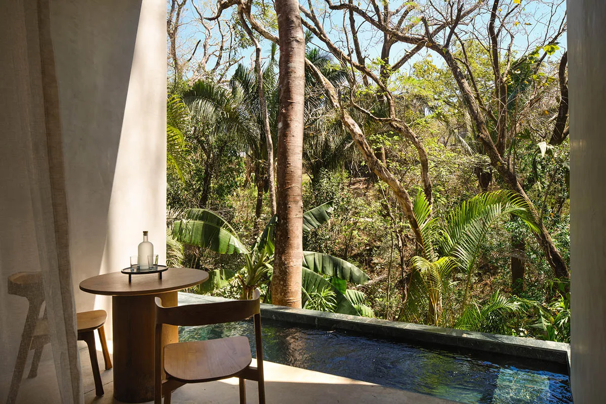 A minimalist wooden bistro table and chair sit beside a narrow plunge pool, with a lush tropical forest and tall trees visible beyond the open-air space.