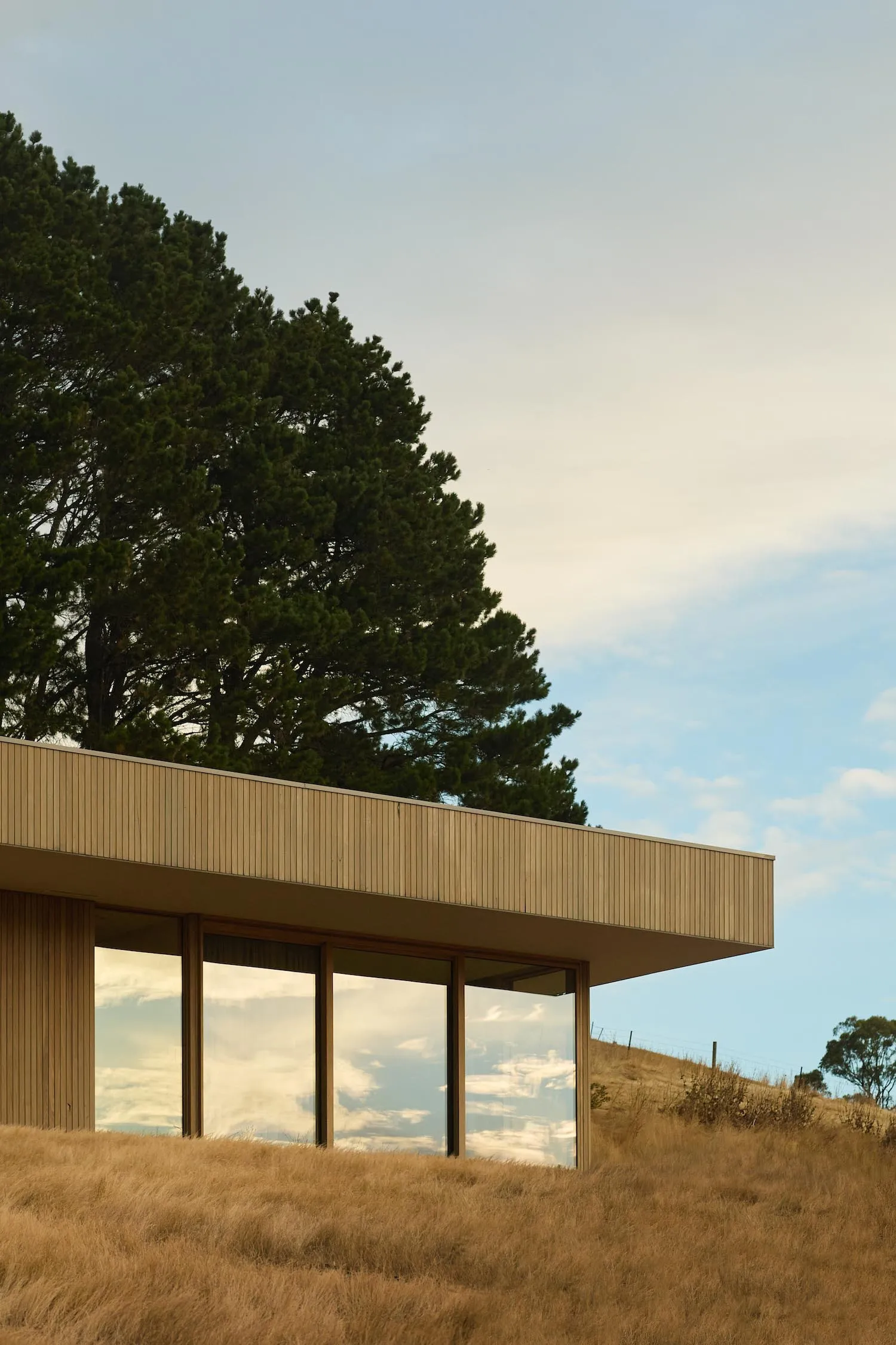 Modern minimalist house with horizontal light wood cladding, large reflective glass windows, set on a dry grassy hillside beneath a tall pine tree against a clear blue sky.