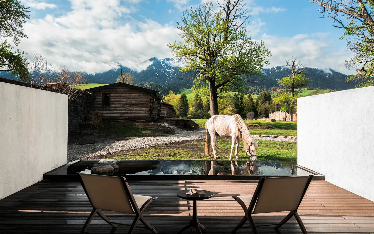 Modern wooden terrace with two beige lounge chairs, a black reflection pool, and a white horse grazing in a green meadow with snow-capped mountains in the background.