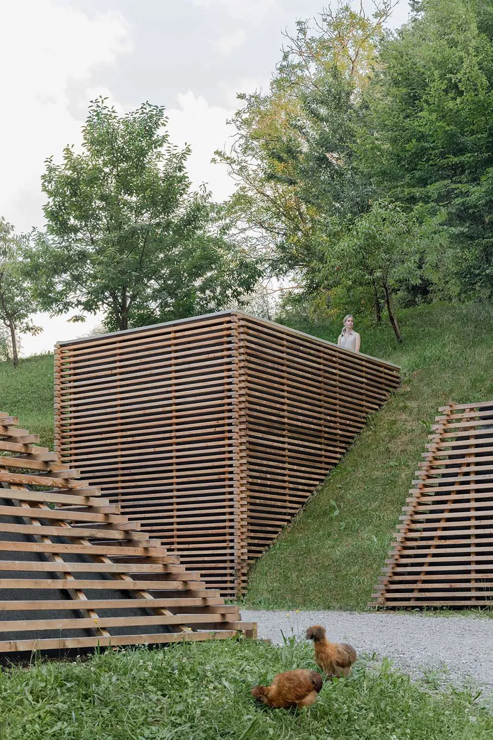 Modern wooden slatted pavilion built into a green hillside with chickens in the foreground and a woman standing on the roof.
