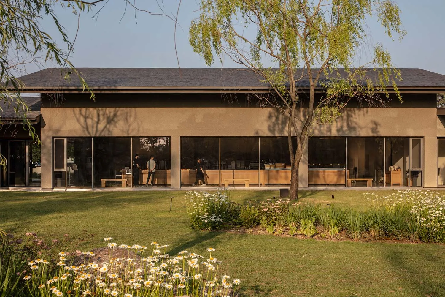 Modern single-story concrete house with large glass windows, wooden interior elements visible, set behind a vibrant wildflower garden under a clear blue sky.