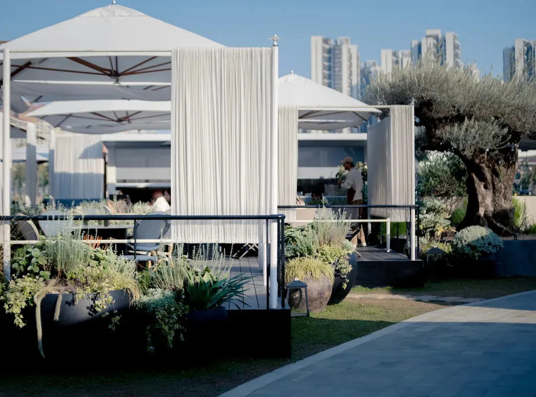 Modern rooftop terrace featuring large white canopy tents, flowing white curtains, abundant potted Mediterranean plants, an olive tree, and a city skyline in the background under a clear blue sky.
