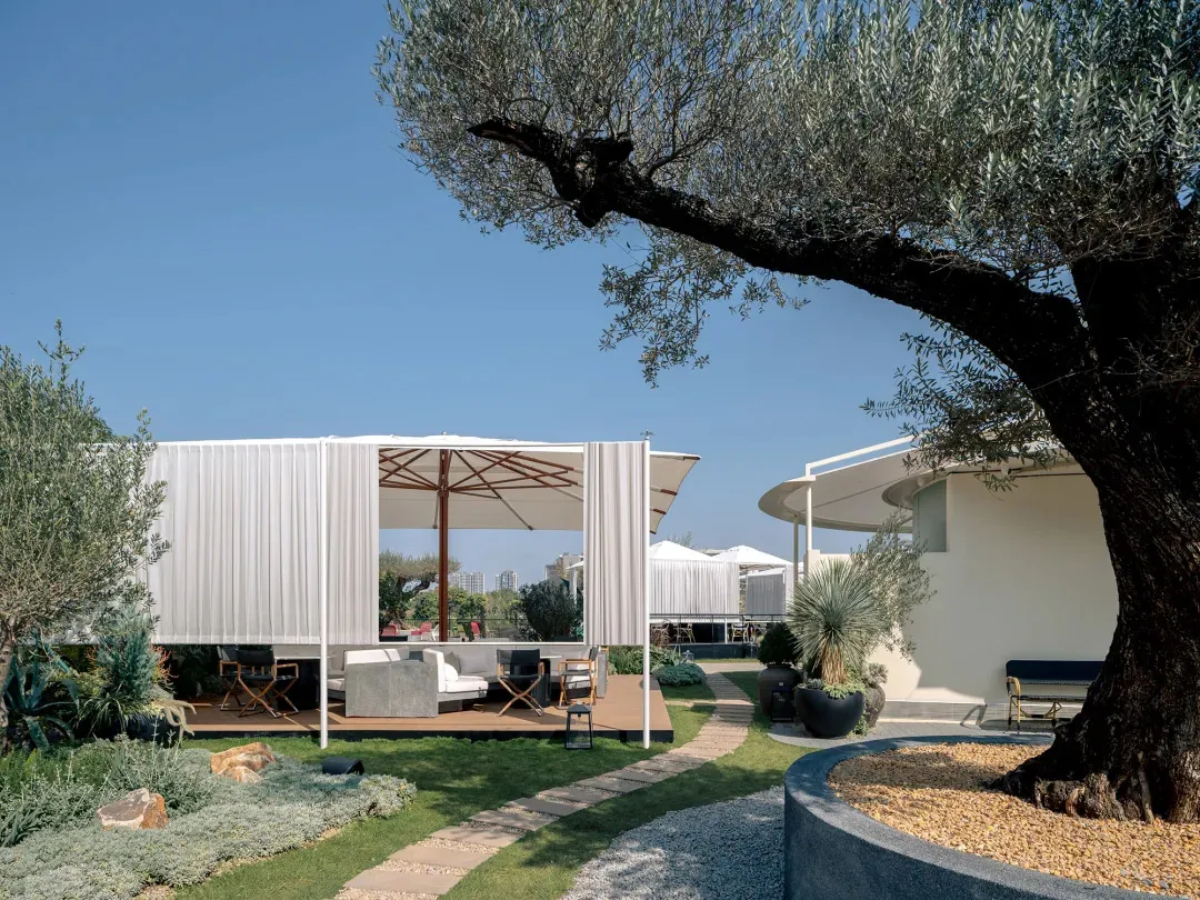 Modern rooftop terrace with white linen curtains, outdoor furniture, stone pathway, and a large olive tree under a clear blue sky.