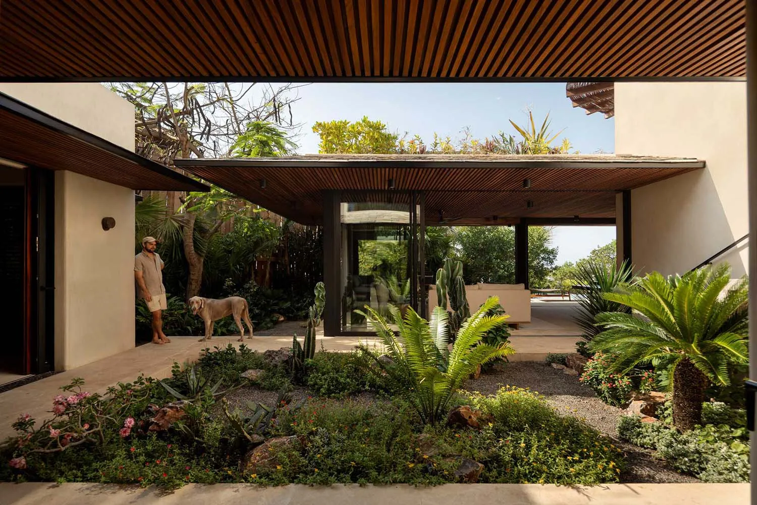 View from a covered terrace into a lush tropical courtyard garden of a modern house, featuring a man and his dog standing under a wooden slat overhang with dense greenery and flowering plants.
