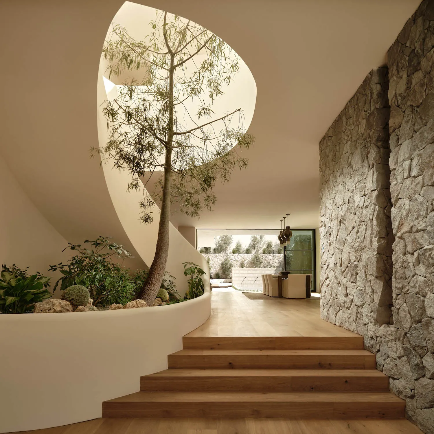 Modern entryway featuring a curved wooden staircase, a tall indoor tree under a large circular skylight, and a rough stone wall with light wood flooring.