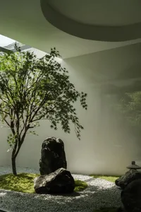 A minimalist indoor garden featuring natural stone and greenery under a circular skylight.