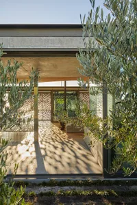 Modern exterior view of a building with concrete structure and glass walls.