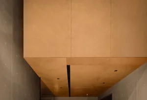 Minimalist interior design featuring wood paneling on the ceiling