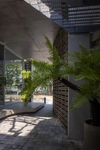 Modern architecture with concrete features and a green plant.