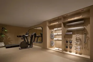 A modern fitness center with a wooden floor and walls, featuring gym equipment and organized storage.