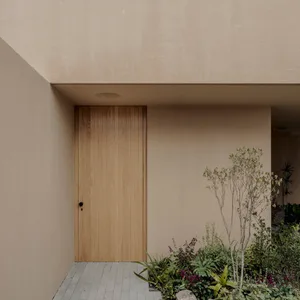 A minimalist front entry featuring a wooden door surrounded by greenery and a tiled pathway.