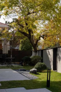 A minimalist landscape design featuring a paved walkway, green lawn, and autumn-colored trees.