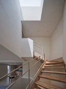 Modern, light-filled staircase with wood paneling and a skylight