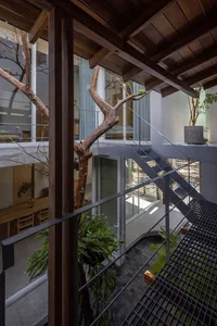 A modern industrial residential staircase with metal railings and a tree growing through the middle.