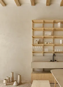 Modern minimalist kitchen with wooden shelves and concrete counter