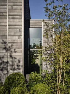 Modern architectural design featuring wooden exterior panels and green foliage