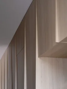 Modern, minimalist interior featuring wooden paneling with geometric shelving.