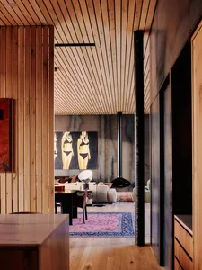Modern residential interior with wooden walls and floors, featuring a living area with a sofa, a fireplace, and a rug.