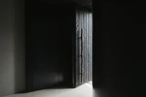 A minimalist doorway with dark black wood, featuring a wooden handle.